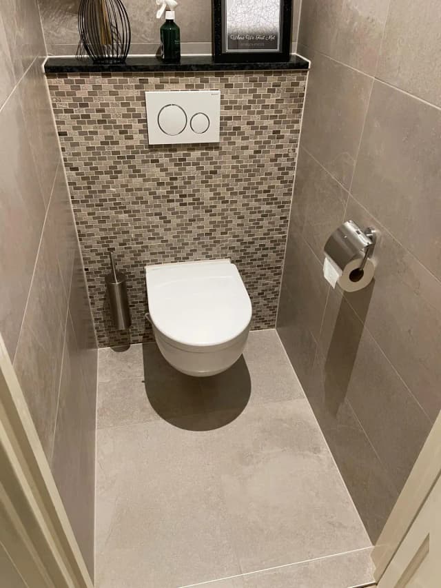 Modern Toilet Renovation